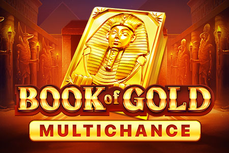 Book of Gold Multichance